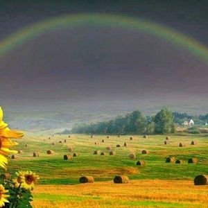 Meet your Posher, Kelli